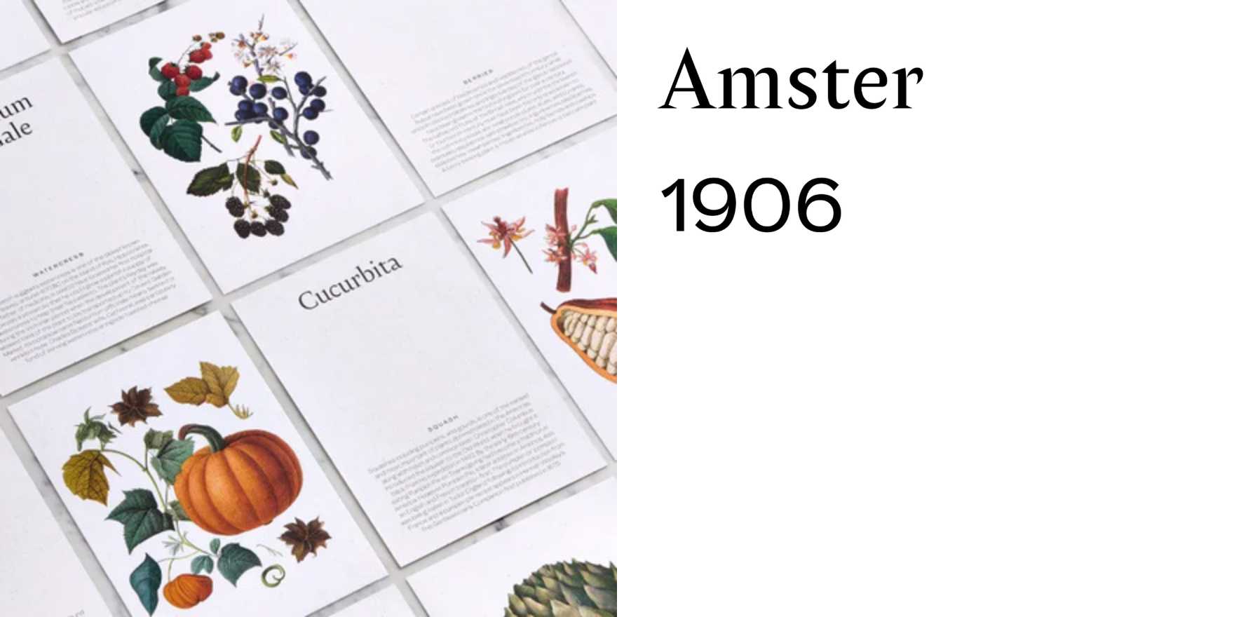 Raffles London menu cards - Fonts In Use