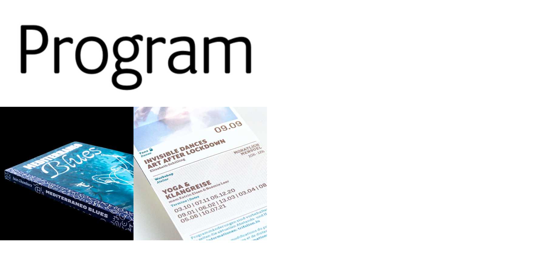 Program in use - Fonts In Use
