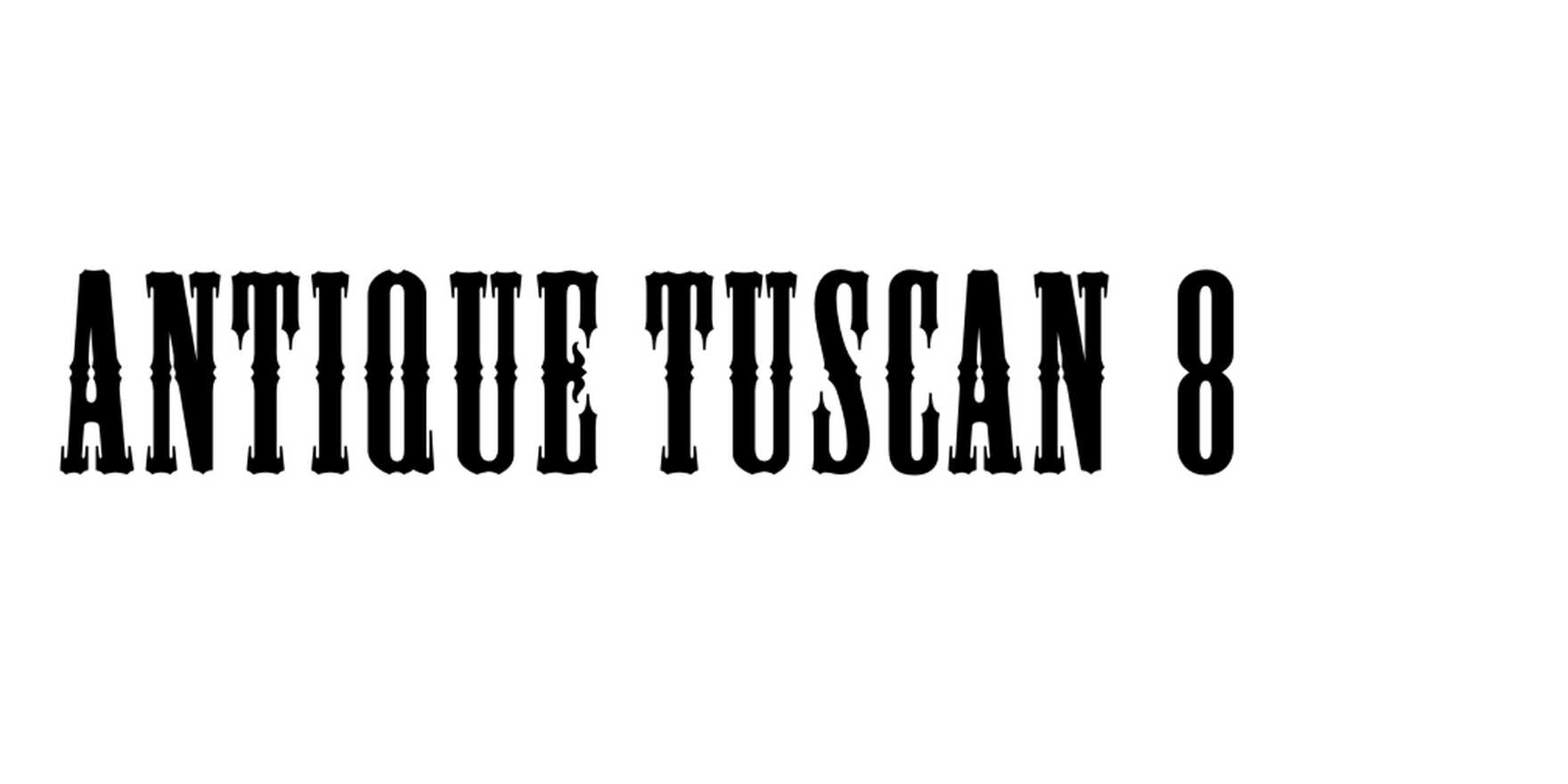 Antique Tuscan 8 in use Fonts In Use