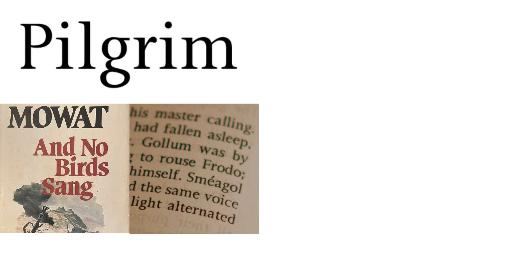 Pilgrim in use - Fonts In Use