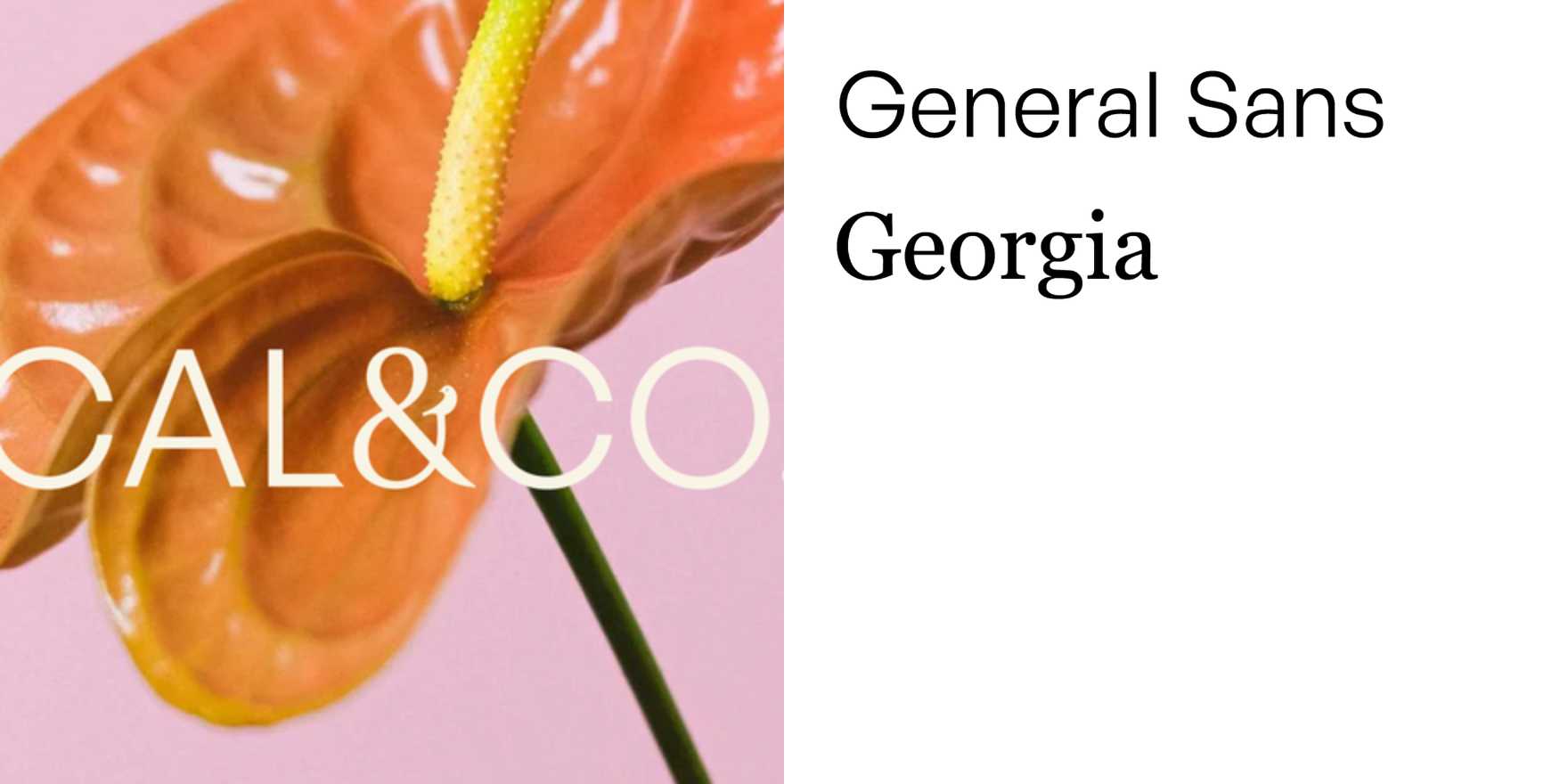 Cal&Co - Fonts In Use