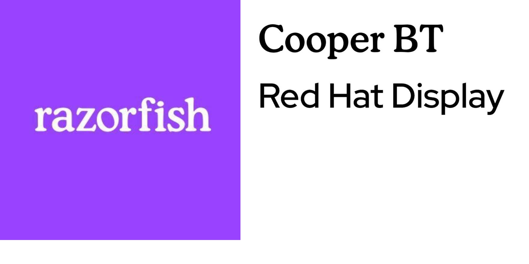 Razorfish identity and website - Fonts In Use