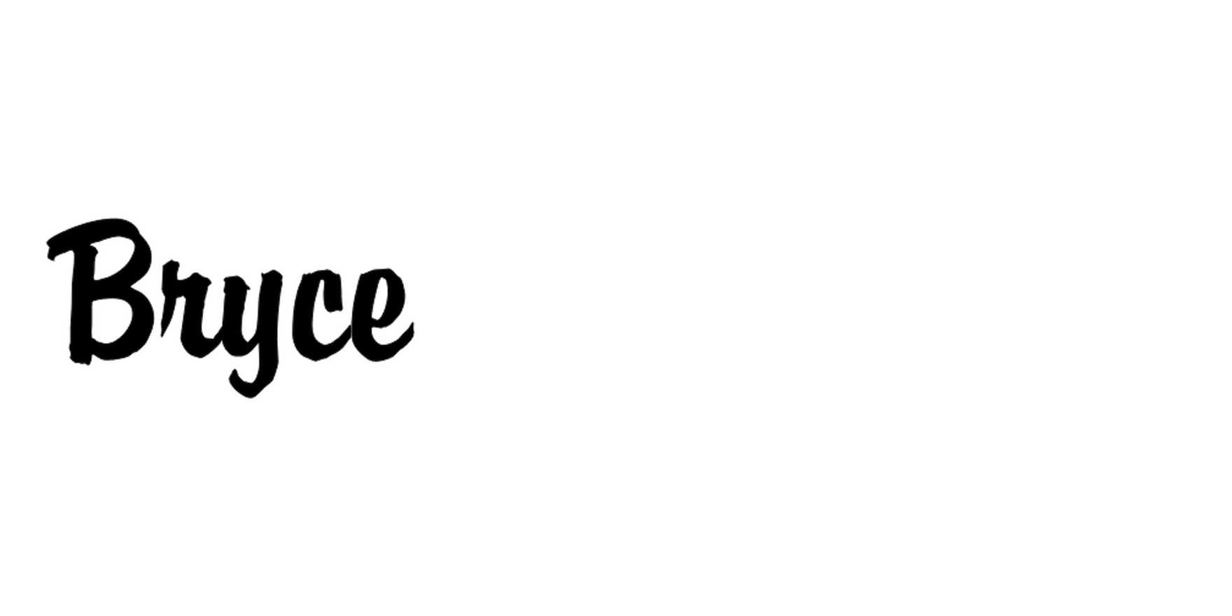 Bryce in use - Fonts In Use
