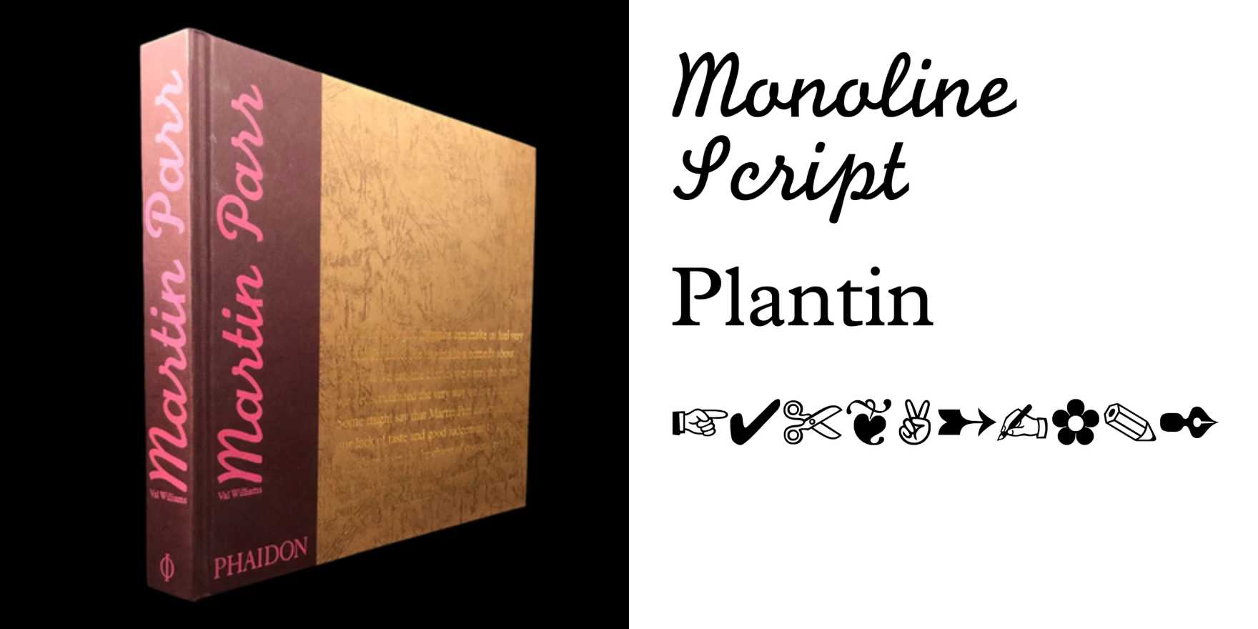 Martin Parr by Val Williams - Fonts In Use