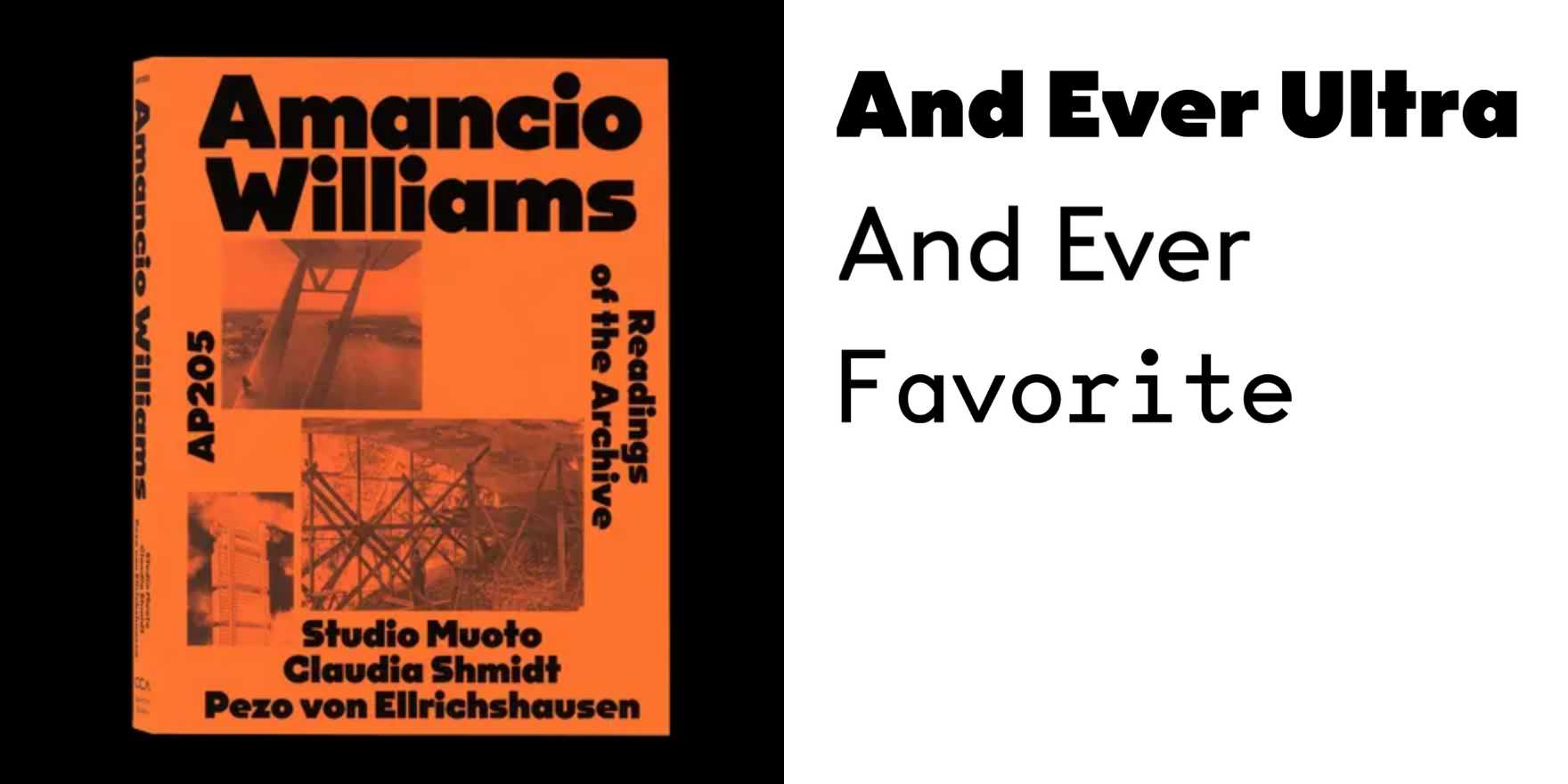 Amancio Williams – Readings of the Archive - Fonts In Use