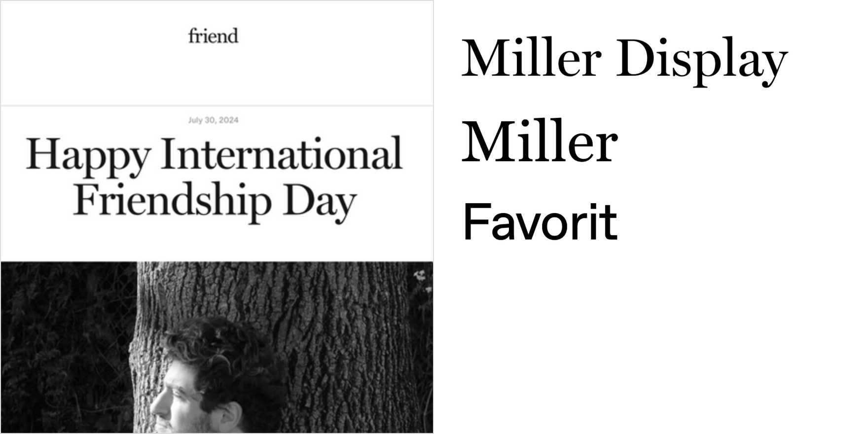 Friend website - Fonts In Use