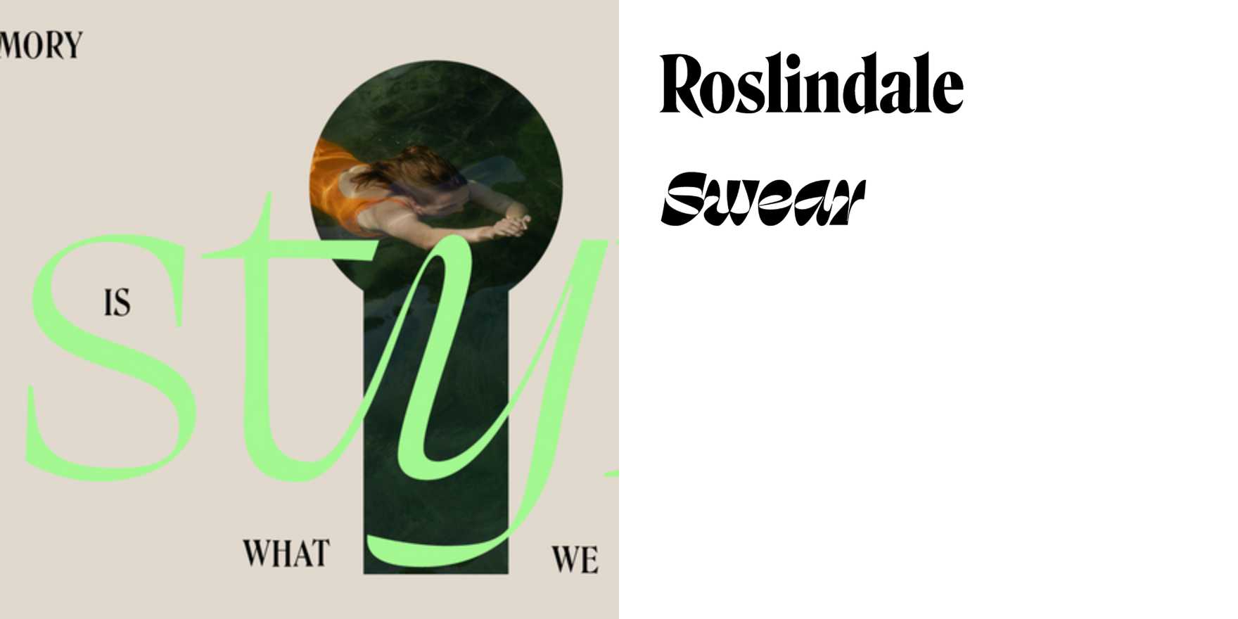 STYX branding - Fonts In Use