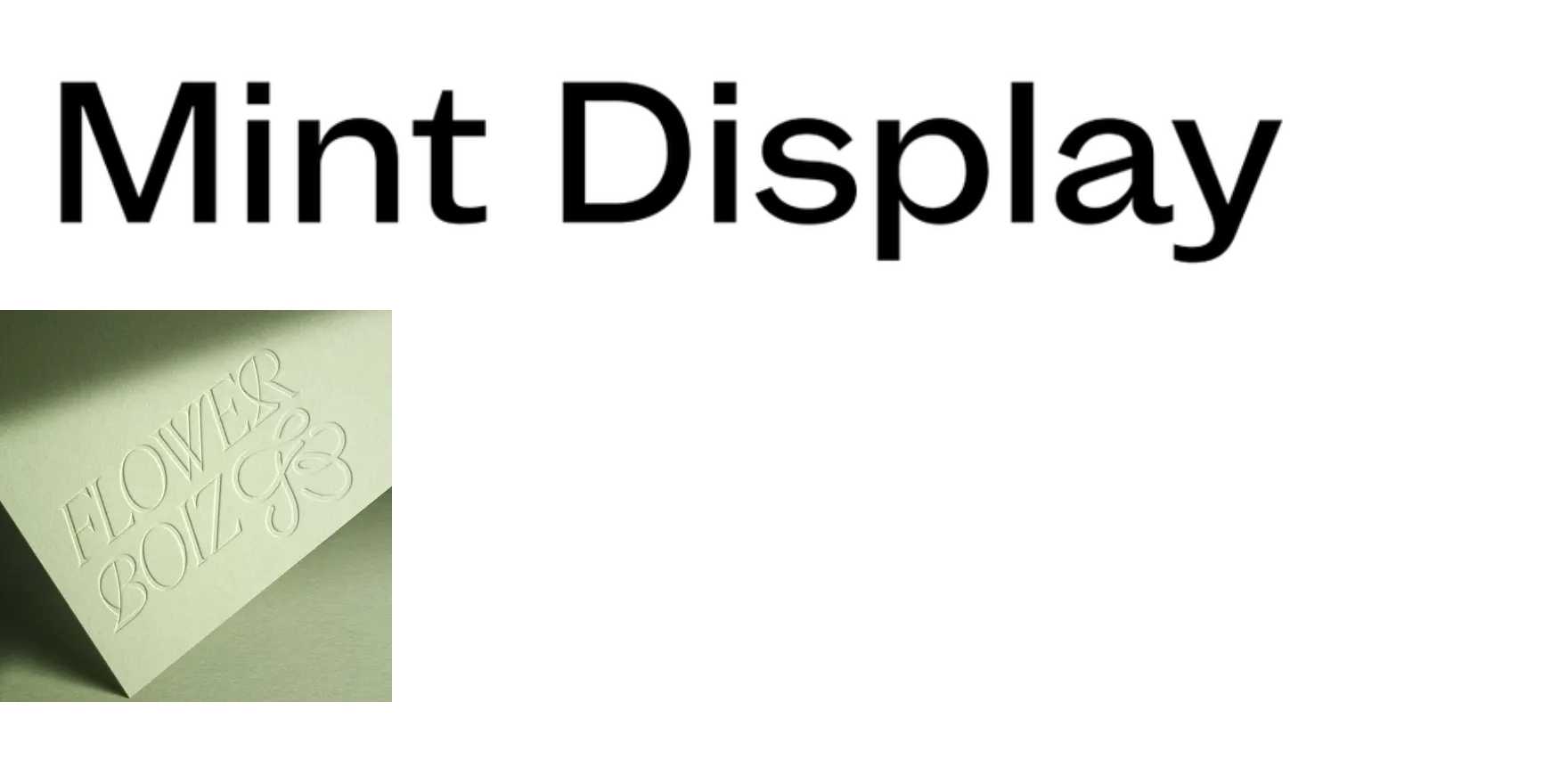 Mint Display in use - Fonts In Use