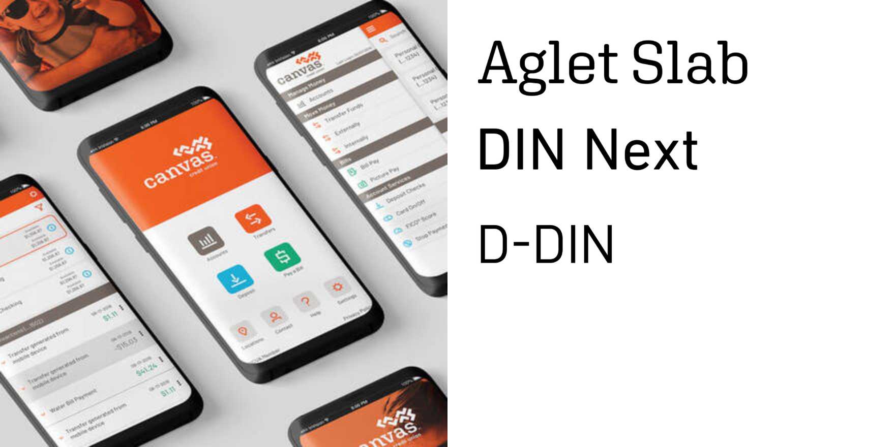 Canvas Credit Union - Fonts In Use