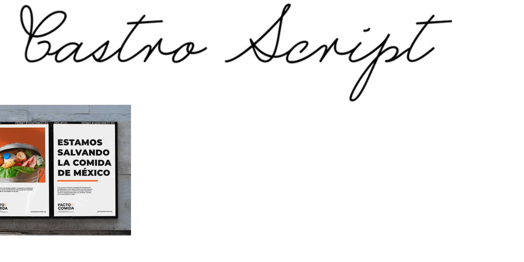 Castro Script in use - Fonts In Use