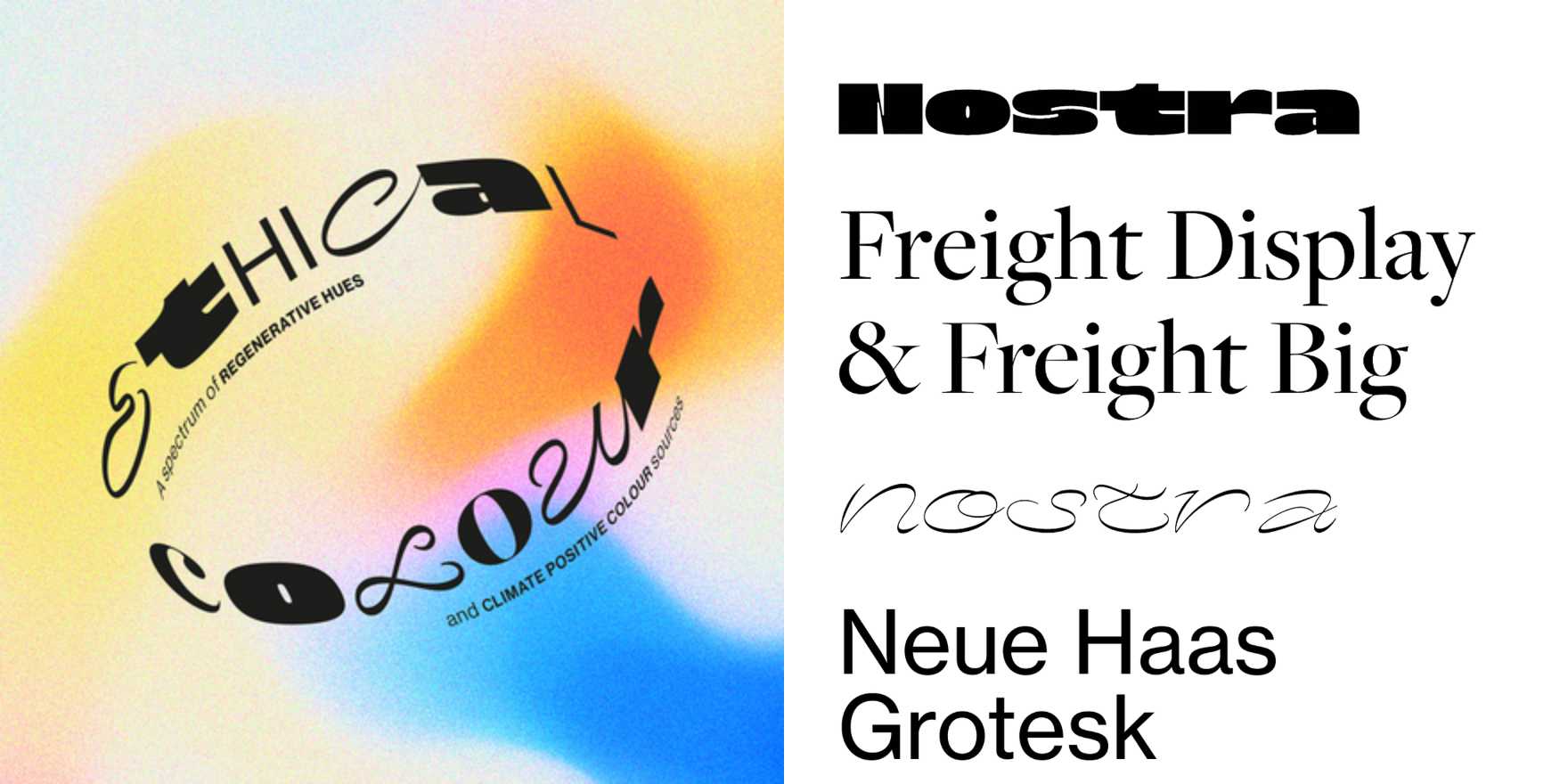 Ethical Colour - Fonts In Use