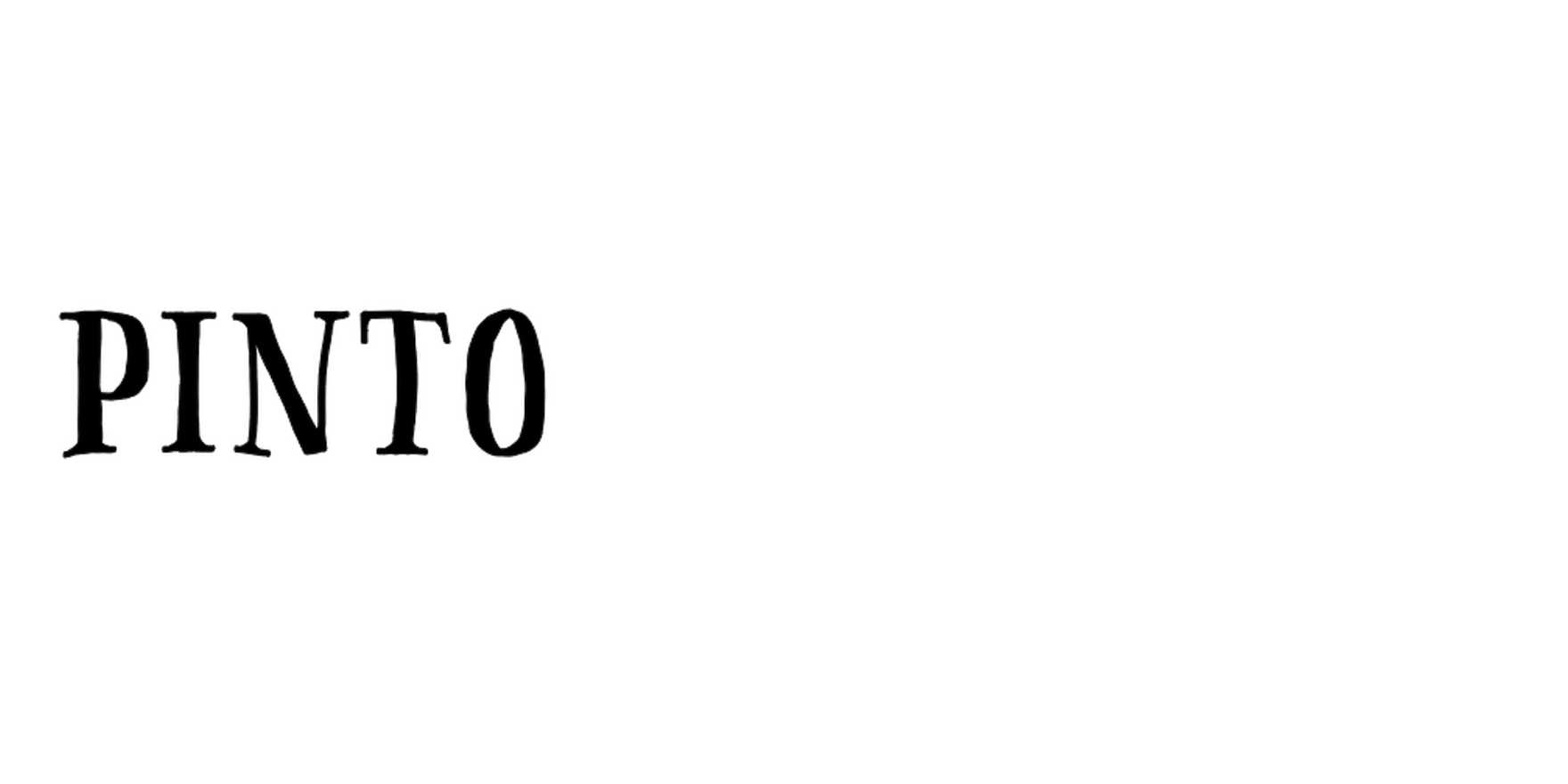 Pinto (FaceType) in use - Fonts In Use