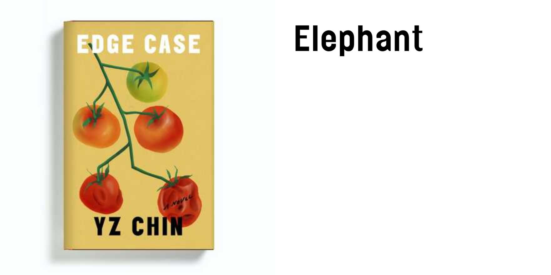 Edge Case by YZ Chin Fonts In Use