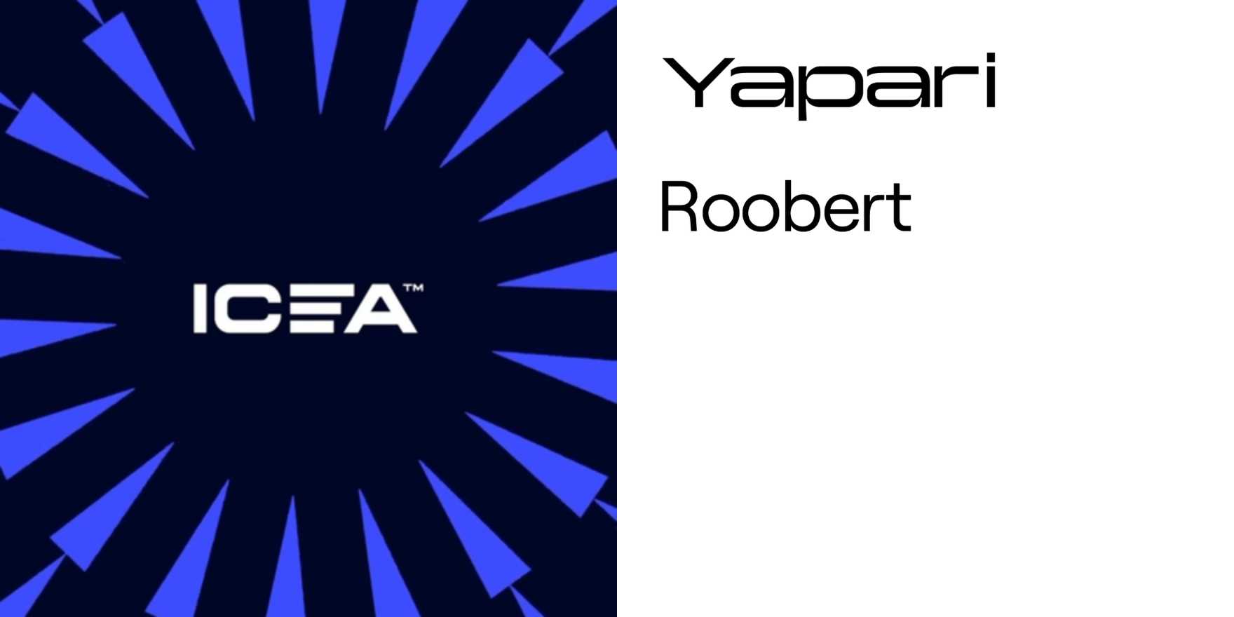 ICEA rebranding - Fonts In Use