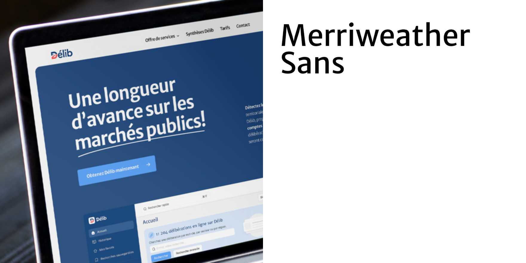 Délib - Fonts In Use
