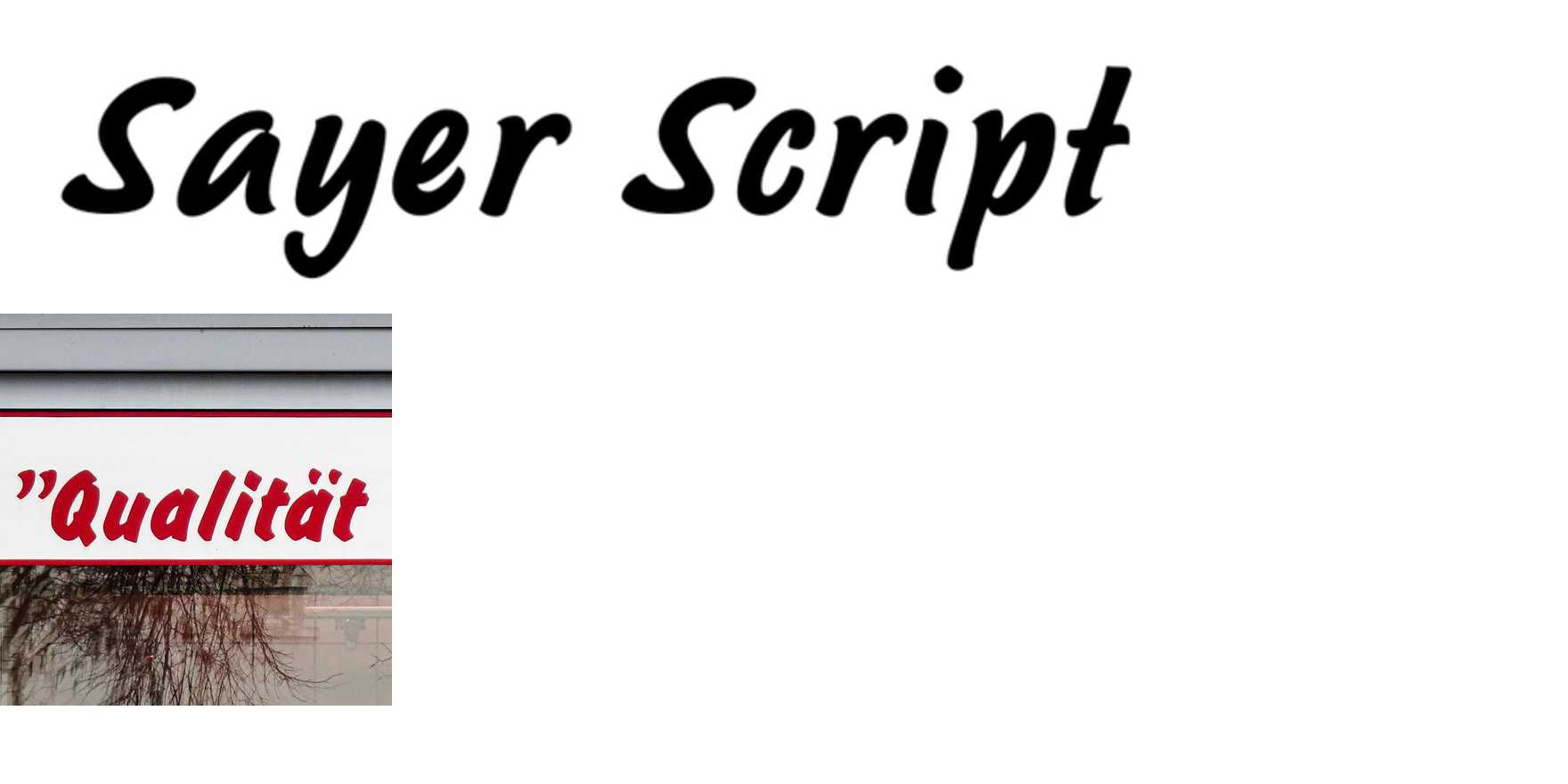 Sayer Script in use - Fonts In Use