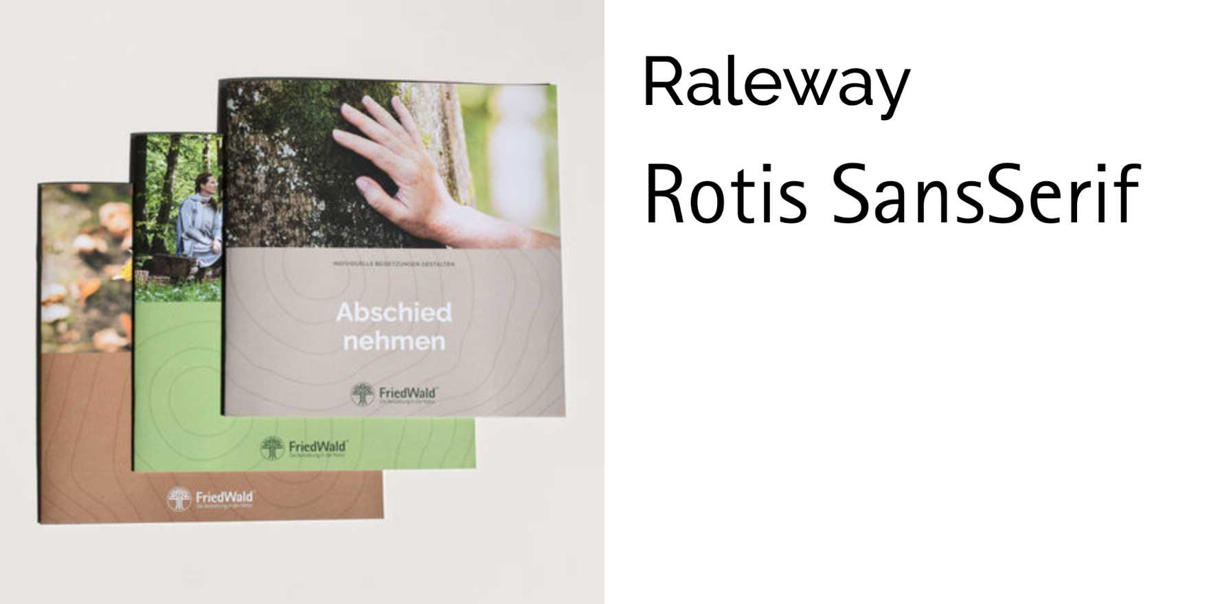 FriedWald redesign - Fonts In Use