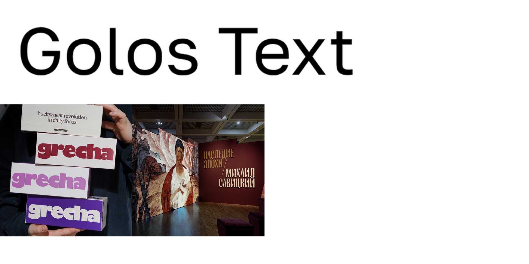 Golos Text in use - Fonts In Use