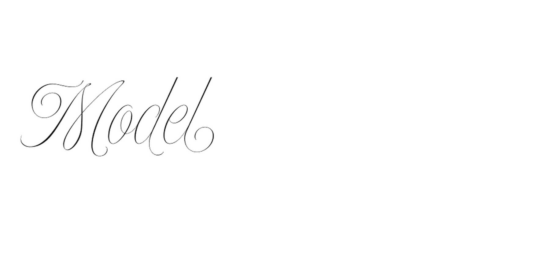 Model in use - Fonts In Use