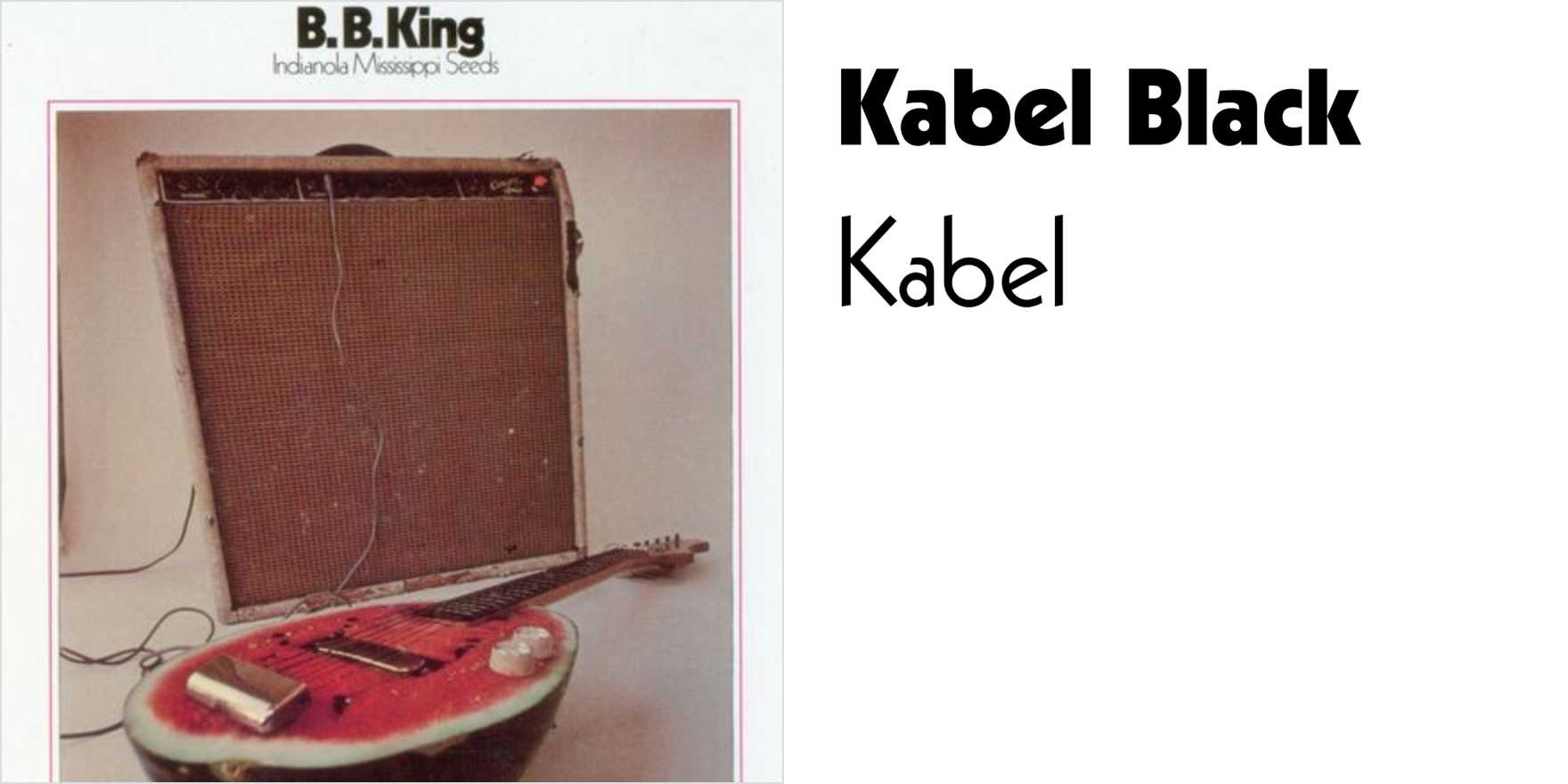 B.B. King Indianola Mississippi Seeds album cover Fonts In Use