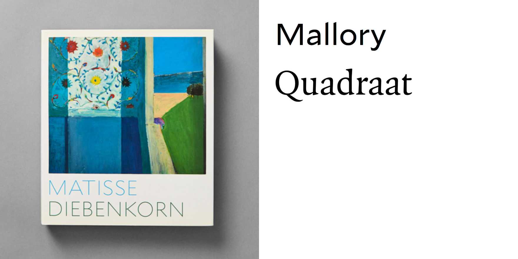 MATISS / DIEBENKORN 作品集 オフィシャル通販