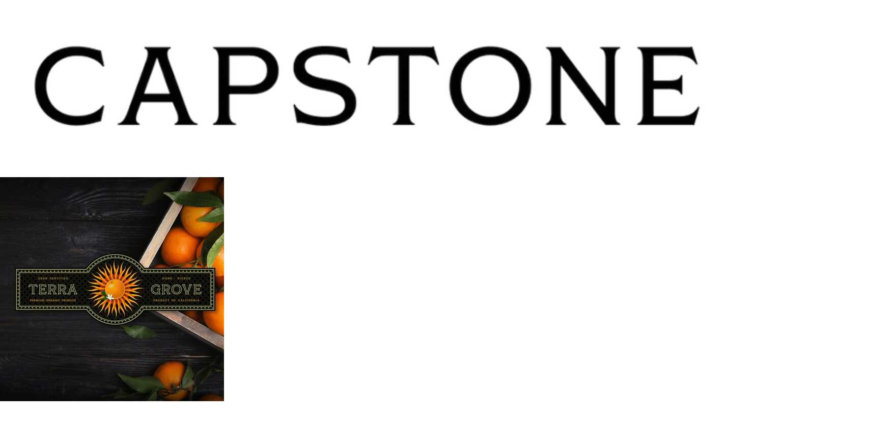 Capstone in use - Fonts In Use