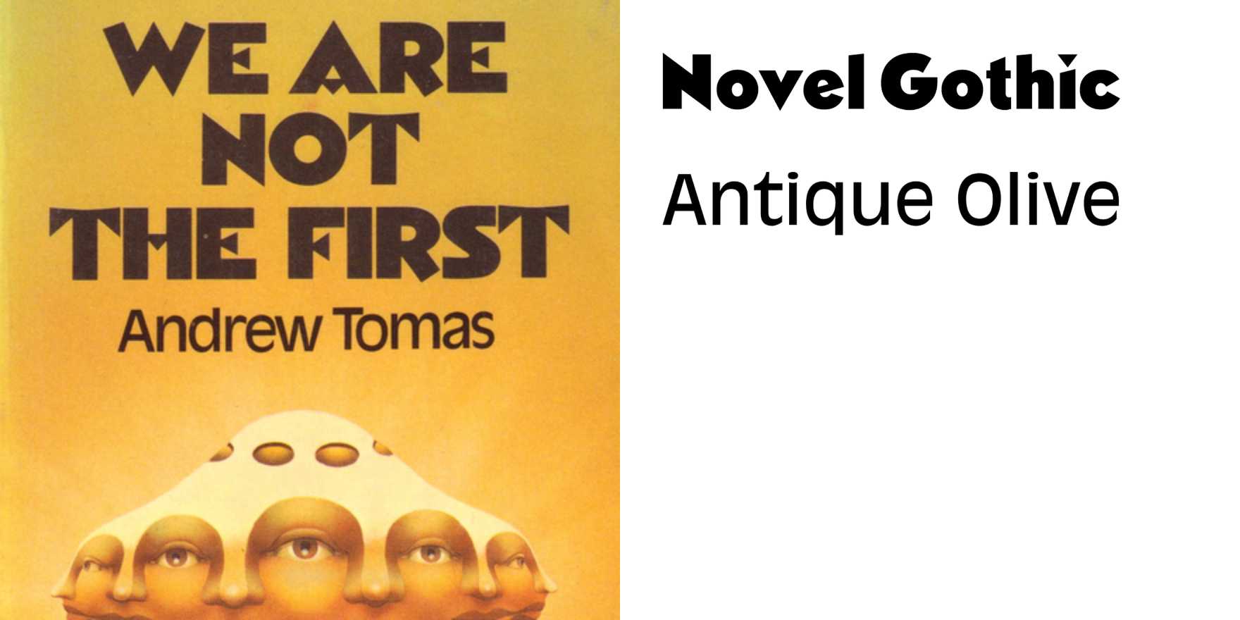 We Are Not the First by Andrew Tomas, Sphere - Fonts In Use