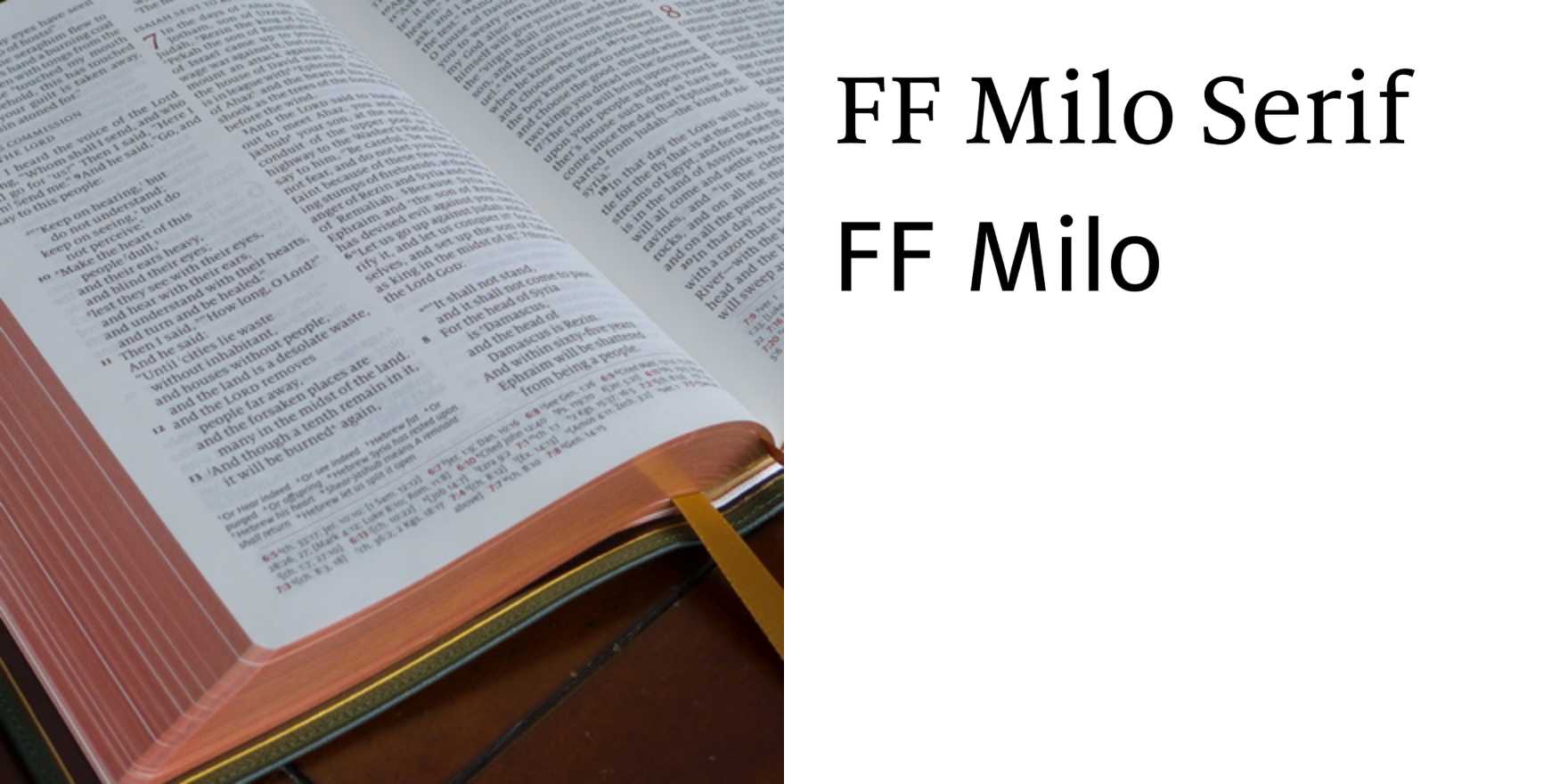 Schuyler Quentel ESV Bible - Fonts In Use