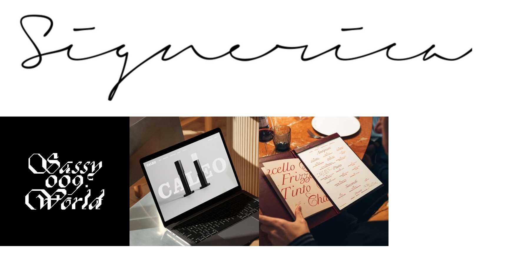 Signerica in use - Fonts In Use