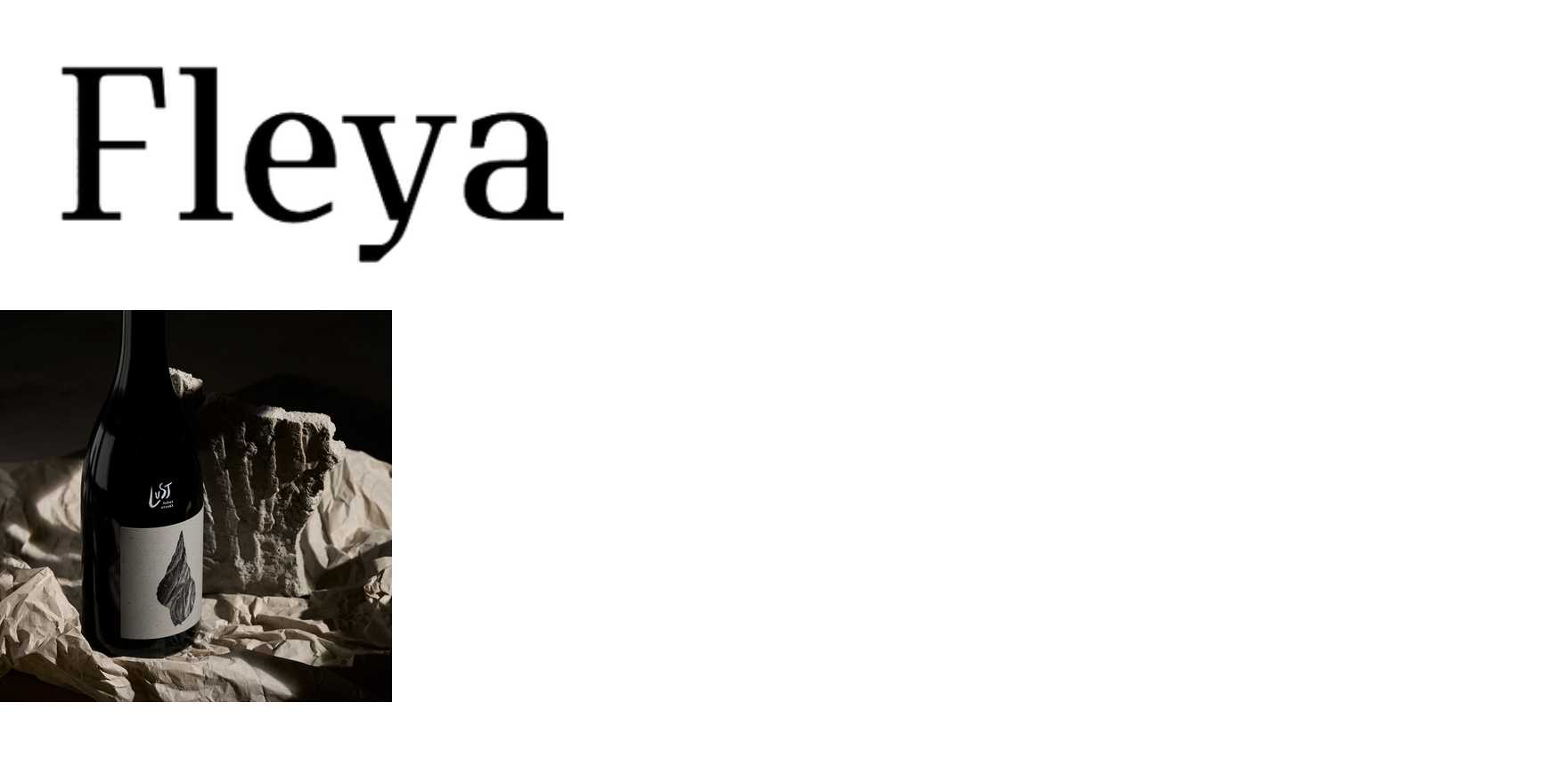Fleya in use - Fonts In Use