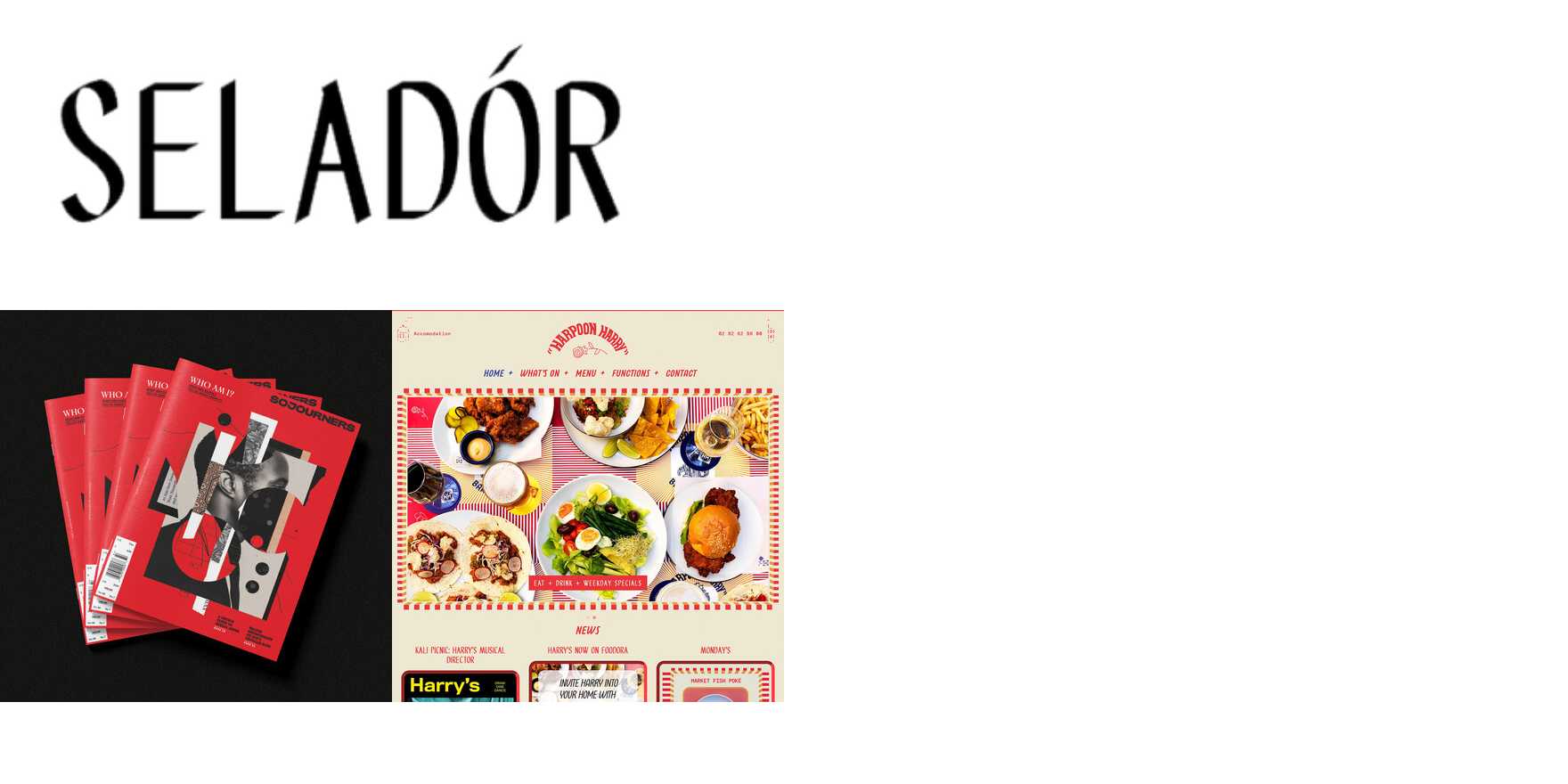 Seladór in use - Fonts In Use