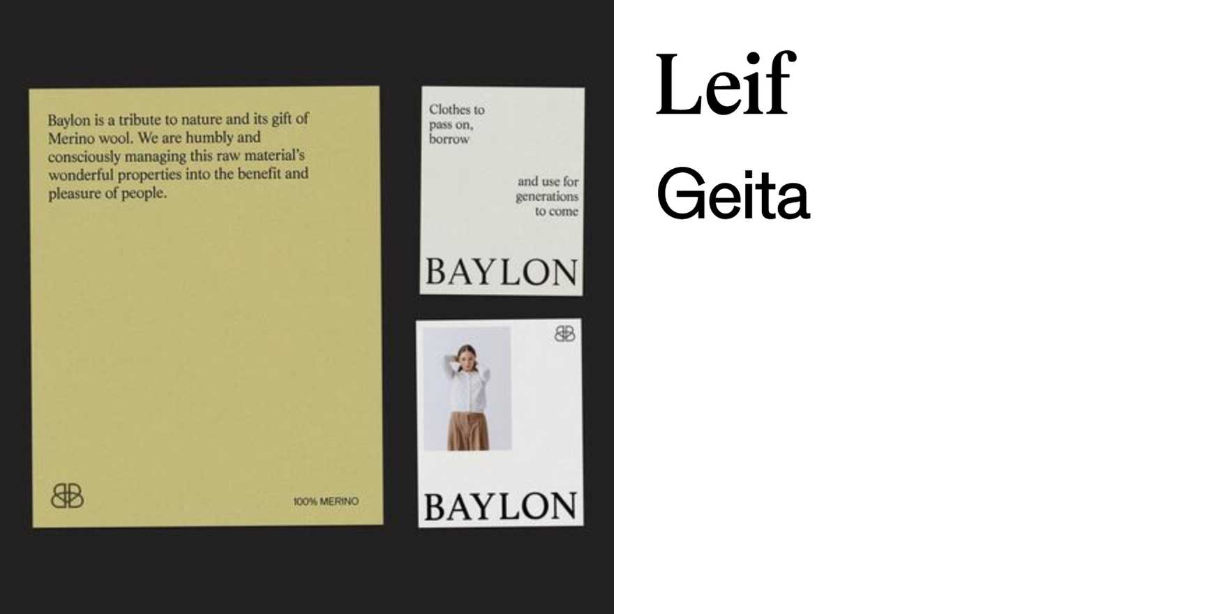 Baylon identity - Fonts In Use