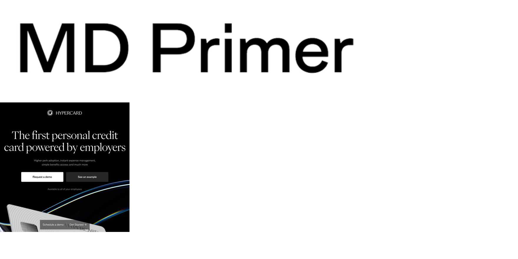 MD Primer in use - Fonts In Use