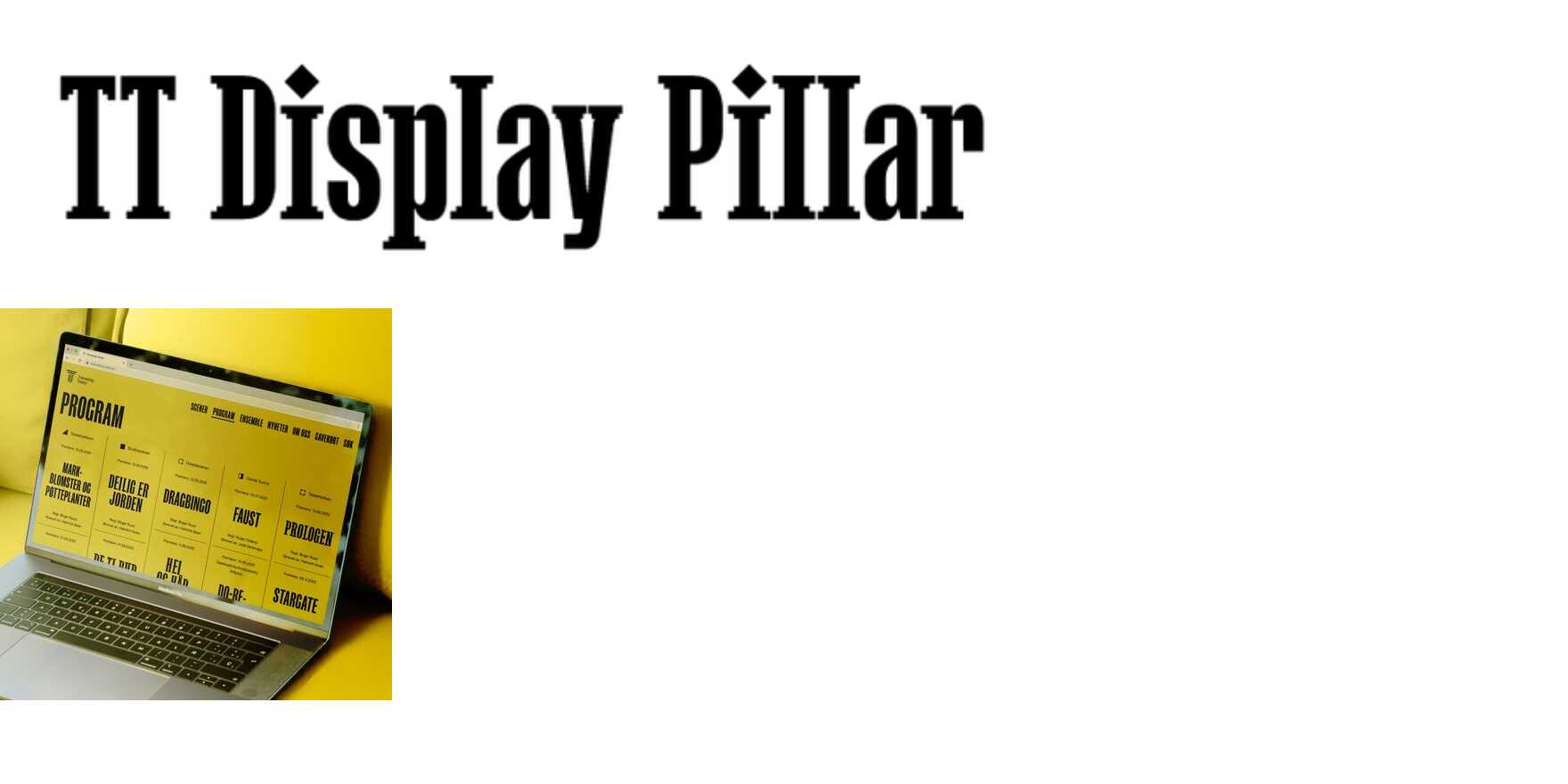 TT Display Pillar in use - Fonts In Use