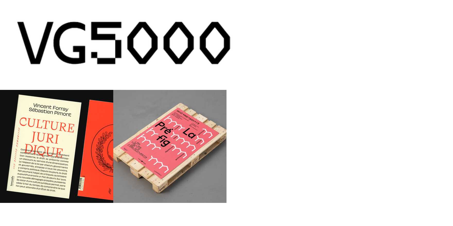 VG5000 in use - Fonts In Use